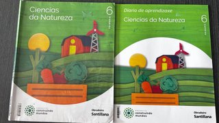 Lote libros texto sexto primaria