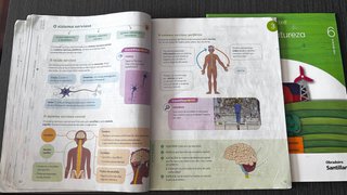 Lote libros texto sexto primaria