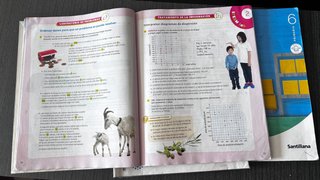 Lote libros texto sexto primaria