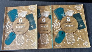 Lote libros texto sexto primaria