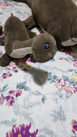 Lote de peluches de dinosaurios