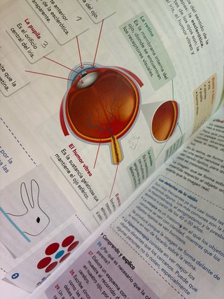 CIENCIAS DE LA NATURALEZA 6 (COMUNIDAD ZOOM)