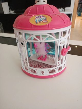 Pájaro Little Live Pets, pájaro parlanchin
