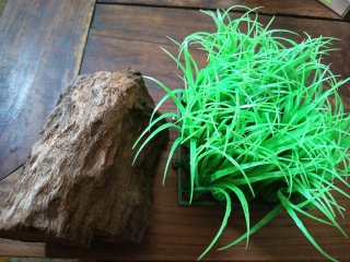Lote Acuario: Ánfora, Roca y Plantas