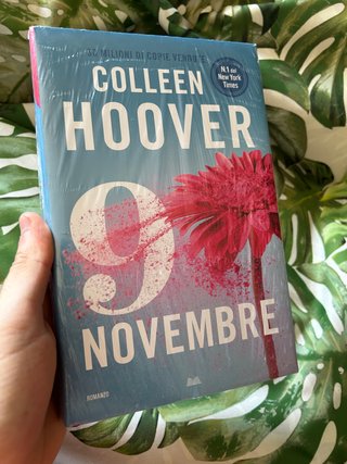 Lotto 2 Libri Colleen Hoover – Heart Bones + 9 Nov