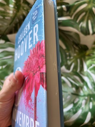Lotto 2 Libri Colleen Hoover – Heart Bones + 9 Nov