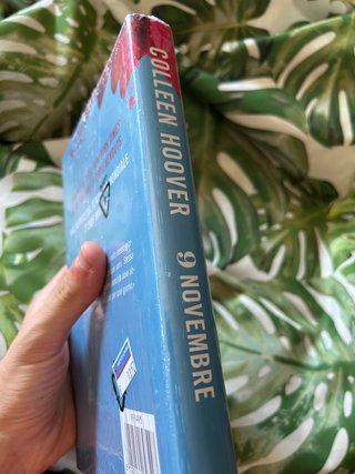 Lotto 2 Libri Colleen Hoover – Heart Bones + 9 Nov