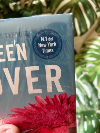 Lotto 2 Libri Colleen Hoover – Heart Bones + 9 Nov