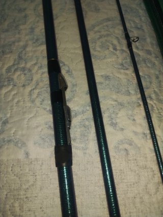 Cañas Daiwa Tournament Masterise II .33
