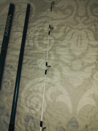 Cañas Daiwa Tournament Masterise II .33