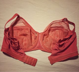 Sujetador Chantelle coral Encaje y Tul