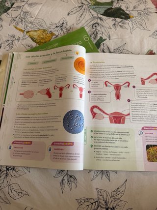 Ciencias de la Naturaleza, 6 Primaria, Proyecto...