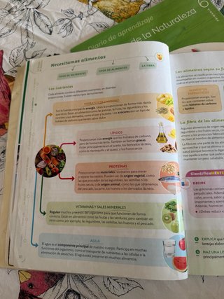 Ciencias de la Naturaleza, 6 Primaria, Proyecto...