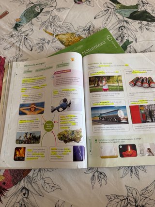 Ciencias de la Naturaleza, 6 Primaria, Proyecto...