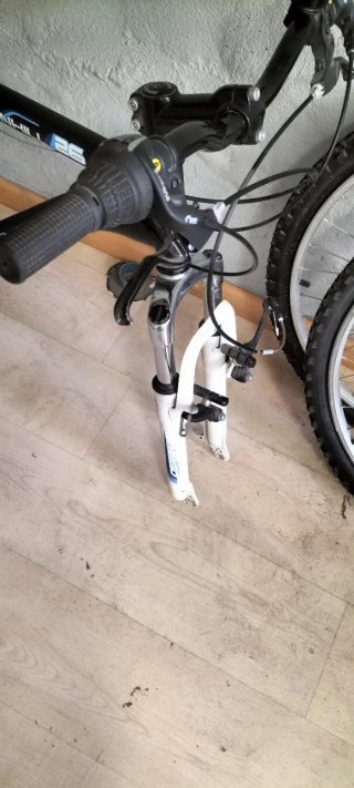 Bicicleta de Montaña