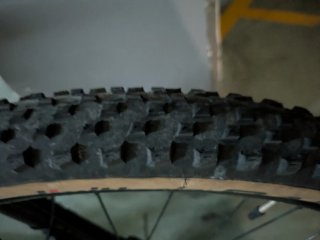 Vittoria Barzo 29x2.25 XC-Race