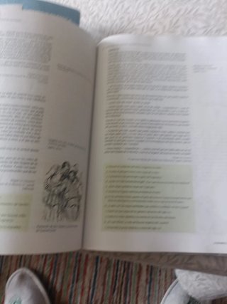 Lengua castellana y literatura 1 Bachillerato