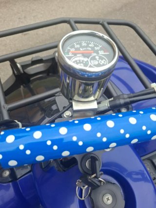 Quad Nitro Totonto 1000w Eléctrico