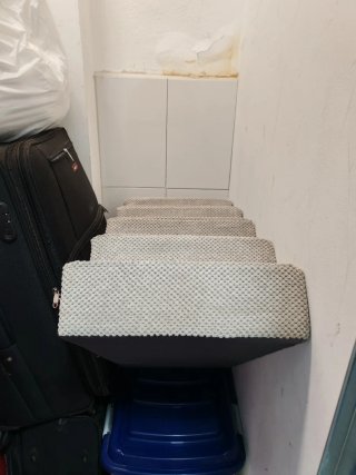 Scala per cani grigia