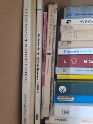Lote 31 libros pedagogía. Ciencia educación