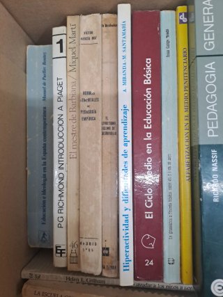 Lote 31 libros pedagogía. Ciencia educación
