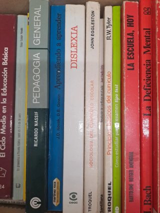 Lote 31 libros pedagogía. Ciencia educación