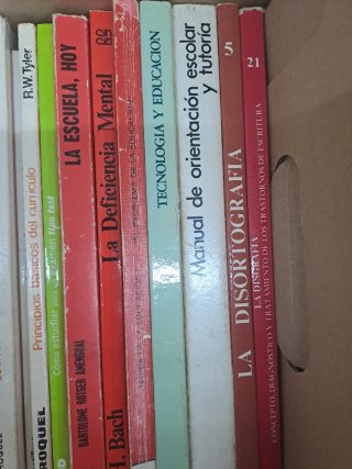 Lote 31 libros pedagogía. Ciencia educación