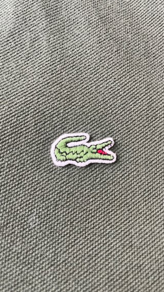 Polo Lacoste Auténtico Clásico Verde Talla L