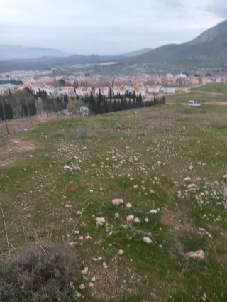 Hola se vende terreno camino del portillo..