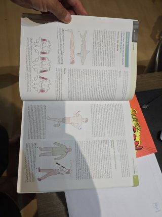 VIAS ANATOMICAS MERIDIANOS MIOFASCIALES TERAPEU...