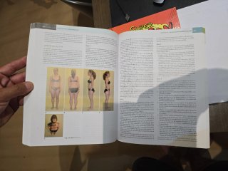 VIAS ANATOMICAS MERIDIANOS MIOFASCIALES TERAPEU...