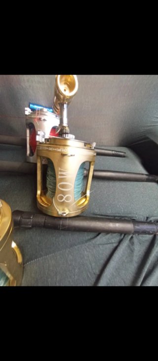 Canne e mulinelli da pesca