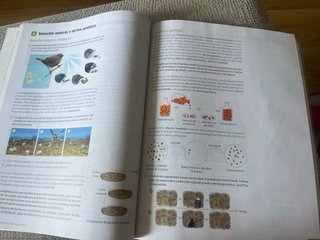 Biología y Geología, 4 Secundaria, Comunidad de...