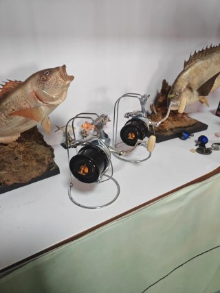 Carrete SHIMANO KISU MG