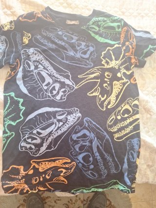 Camiseta negra dinosaurios calaveras