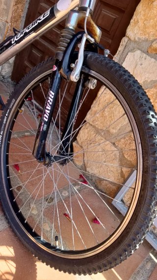 Bicicleta Topbike Aluminio Rodado 26