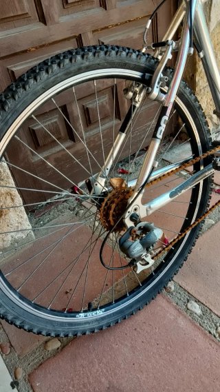 Bicicleta Topbike Aluminio Rodado 26