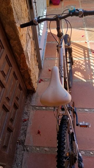 Bicicleta Topbike Aluminio Rodado 26