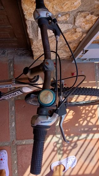 Bicicleta Topbike Aluminio Rodado 26