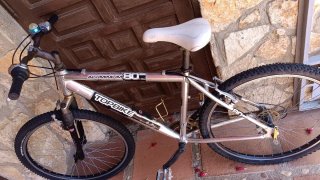 Bicicleta Topbike Aluminio Rodado 26
