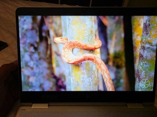 HP Spectre x360 Argento