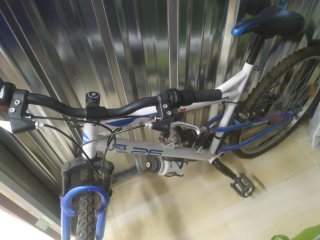 Bicicleta de Montaña Adultos