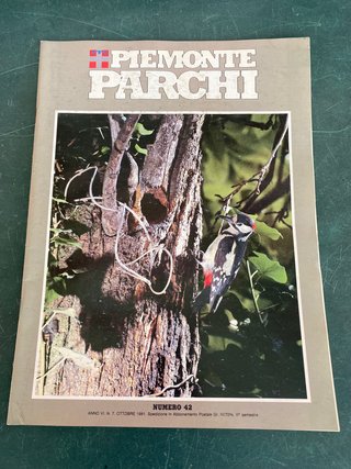 5 riviste Piemonte Parchi, anni 89 - 92