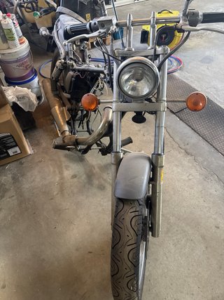 Suzuki Savage Cruiser