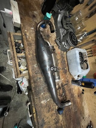 Yasuni C20
