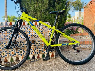 Bicicleta Montaña Infantil Verde