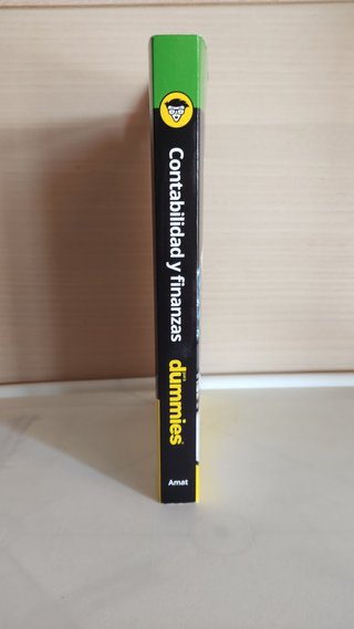 Contabilidad y Finanzas para Dummies - Oriol Amat