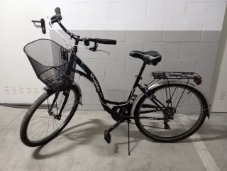 Bicicleta Paseo Mujer