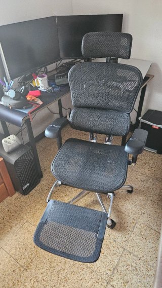 Silla Ergonómica Ergohuman Elite 2 Mesh Negra