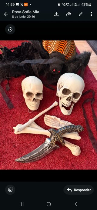 Pack Halloween: Calaveras, Huesos ,  Daga